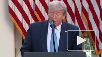 Трамп объявил о пройденном пике пандемии COVID-19