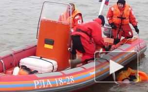 Водолазы с ночи ищут отчаянного мужчину, нырнувшего с Дворцового моста на глазах у друзей