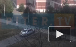 В Выборгском районе Петербурга обнаружили труп мужчины