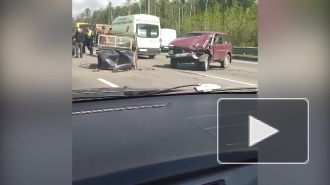 В массовом ДТП на КАД пострадали два человека
