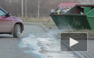 Невыносимый "аромат" фекалий преследует жителей поселка Новое Девяткино