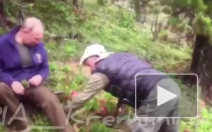 Опубликовано видео отдыха Путина в тайге