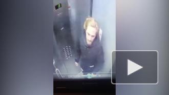 Подозреваемому в гибели девушки в Мурино избрали меру пресечения
