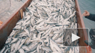 В России обнаружили потерю 150 миллиардов из-за США