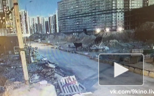 Ночью на стройке в Мурино заметили парочку лосей