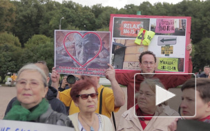 Сегодня на Марсовом поле петербуржцы выступили в защиту Мефистофеля