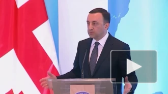 В Грузии заявили, что ЕС должен дать стране статус кандидата для завершения поляризации