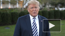Трамп пообщался с лидером "Талибана"*