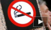 Борьба за сигареты: россиянам могут опять разрешить курение на верандах