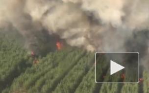 В Ростовской области введен режим ЧС из-за лесных пожаров 