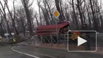 Жуткое видео из Ростова-на-Дону: дерево упало на КАМАЗ и убило двух человек