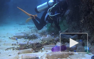 WWF: в мировой океан ежегодно попадает от 5 до 12 млн тонн пластика