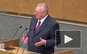 Жириновский объяснил свои слова о "крепостных и холопах"