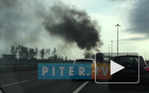 Видео: На КАД сгорел автомобиль