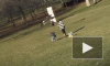 Видео: в Канаде огромный орел унес ребенка