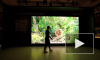 Компания Samsung представила гигантский телевизор QLED 8K