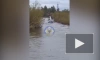 Вертолет Robinson сел на реку в Чите из-за ошибки в навигации