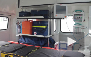 Собака привела петербурженку к трупу младенца в снегу на Камышовой