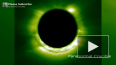 Видео: В Солнечной системе заметили гигантский НЛО