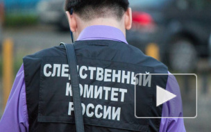 Против школьника с топором в Саратове возбудили уголовное дело  