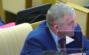 Володин предложил привлечь к ответственности судей МУС за решение в отношении Путина