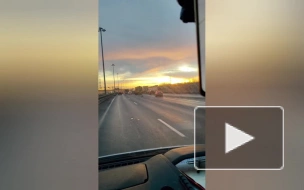 По факту смертельного ДТП с участием рейсового автобуса на КАД проводится проверка