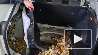 Кингисеппские таможенники нашли под обшивкой автомобиля 50 кг консервированного кошачьего корма