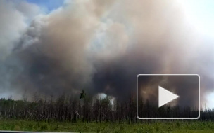 Новости Дзержинска Нижегородской области: сезон пожаров 2014 в России открыт