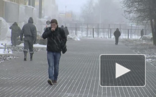 Готовьте санки и лыжи! Снег в Петербурге не прекратится ещё 2 недели