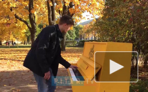 Петербуржцы продолжают радовать прохожих игрой на желтом пианино 