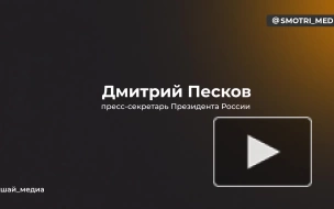 Песков: подготовка к посланию Путина Федеральному Собранию идет