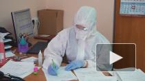 В Петербурге 23 ноября вступили в силу новые коронавирусные ограничения 