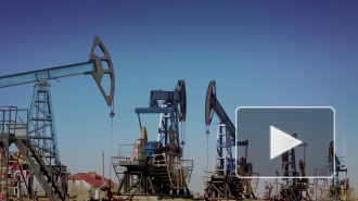Хазин считает падение цен на нефть экономической победой России