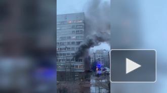 Видео: спасатели борются с огнем в квартире на Витебском проспекте