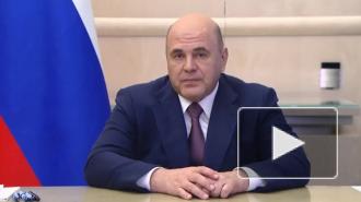 Мишустин: вакцинация от COVID-19 снимет ограничения, которые мешали развитию экономики
