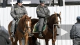 Влюбленных в Петербурге будет охранять конная полиция