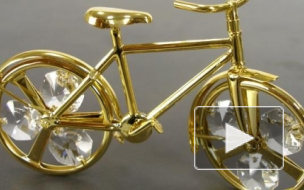 В Петродворце осужден похититель 37 велосипедов