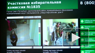 Веб-камеры на избирательных участках оказались "подслеповаты"