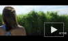 В сети появился трейлер экранизации рассказа Стивена Кинга "В высокой траве"