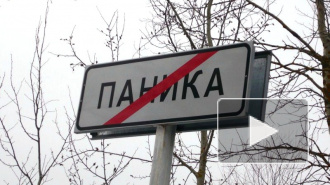 Совфед требует наказания для паникеров