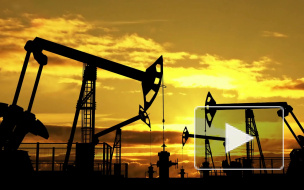 Пять российских нефтяных компаний поставят Белоруссии нефть без премии