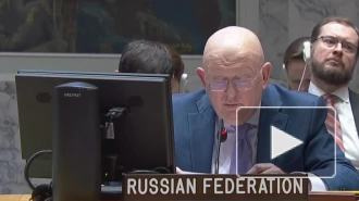 Небензя заявил, что Россия пересмотрит подход по докладчикам на заседаниях СБ ООН