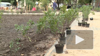 В рамках национального проекта в Выборге обновили сквер