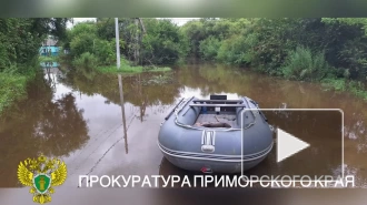 В Дальнереченске подтопило восемь домов после прорыва насыпи дамбы