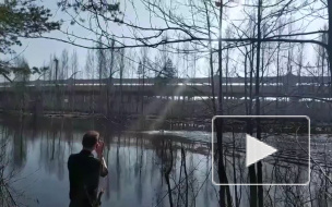 В пруду на Планерной улице заметили пловца