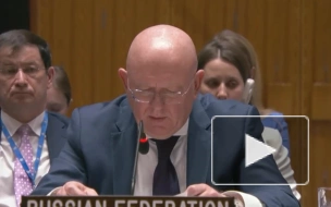 Небензя: участие КНДР в освобождении территорий РФ - в рамках международного права
