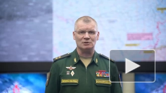 Минобороны РФ: российские войска на Запорожском направлении уничтожили 25 военных ВСУ