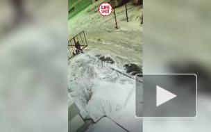 В Томске 7-летнего мальчика зажало автоматическими воротами