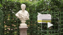 Про цветы Нежная пролеска