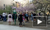 Видео: в сквере Дружбы расцвела сакура 